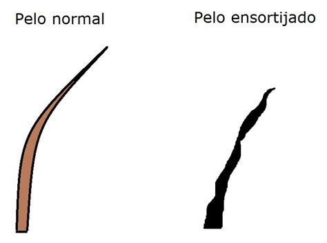 Cabello ensortijado: causas, cuidado y cómo mejorarlo